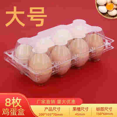 大号8枚鸡蛋托100个加厚