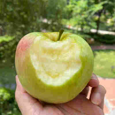 【山东青森苹果】高山头茬水蜜桃青苹果非红苹果5斤新鲜水果代发