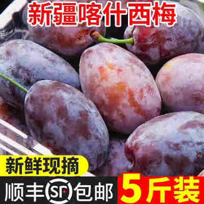【顺丰5斤】正宗新疆喀什西梅李子新鲜水果现摘爆甜大西梅鲜果1斤