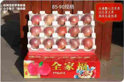 净重8.5斤超大果王【12-15个】