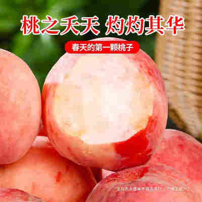 YF整箱当季脆甜大包邮应甜桃斤桃子9水蜜桃水果新鲜季超毛桃