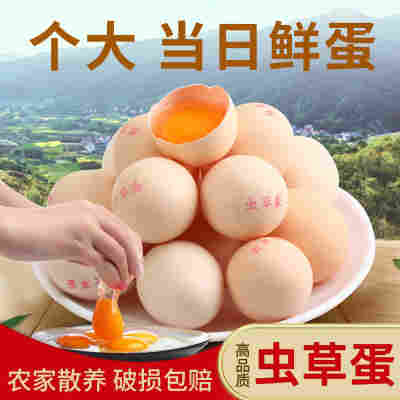 虫草蛋40枚普通快递