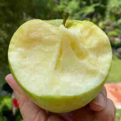 【山东青森苹果】高山头茬水蜜桃青苹果非红苹果5斤新鲜水果代发