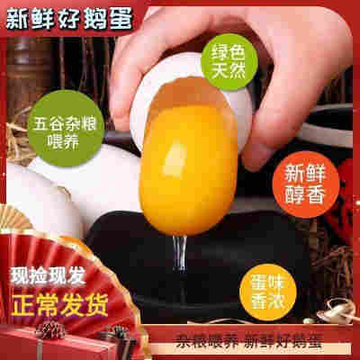 6枚鲜鹅蛋_100g-120g纸箱装