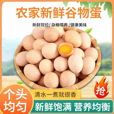 正宗散养新鲜土鸡蛋农自养初生蛋月子蛋走地鸡当日新鲜50枚箱装鲜