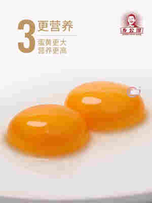 2024鸡蛋农家土鸡蛋新鲜散养整箱批发无抗激素草鸡蛋谷物笨柴特产