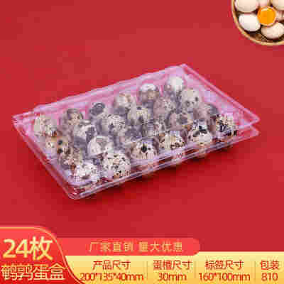 24枚鹌鹑蛋托100个