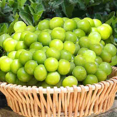 阳光玫瑰葡萄 代发1/5斤新鲜葡萄应季高原新鲜孕妇水果青提子