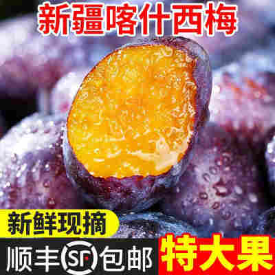 【顺丰5斤】正宗新疆喀什西梅李子新鲜水果现摘爆甜大西梅鲜果1斤