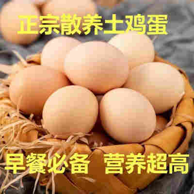 土鸡蛋农家散养新鲜纯农村自养天然40枚草鸡蛋柴鸡蛋笨鸡蛋
