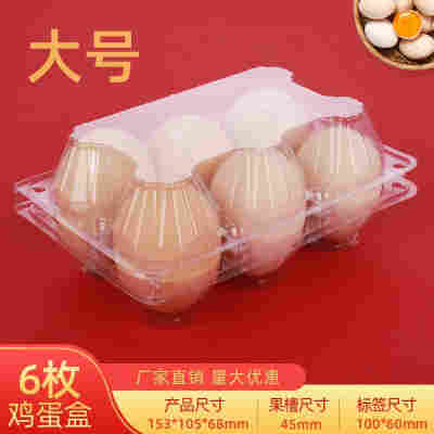 大号6枚鸡蛋托100个加厚