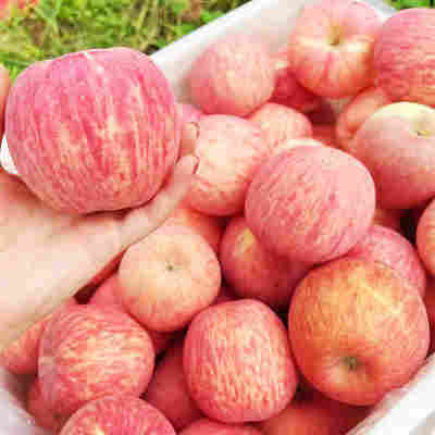 【全年供应】山东烟台栖霞红富士苹果新鲜应季水果批发一件代发