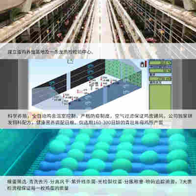 可生食富硒鸡蛋土鸡蛋溏心蛋初生蛋日式寿喜烧鸡蛋整箱春节送礼