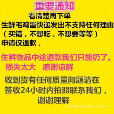 生的 40枚装 农家新鲜 毛蛋 鸡胚蛋 毛鸡蛋 喜蛋旺鸡蛋 凤凰蛋