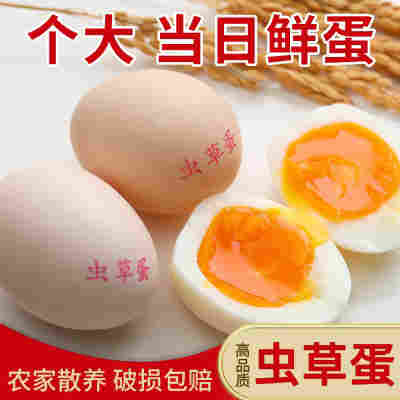 虫草蛋20枚顺丰快递