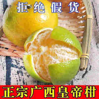 【急速发货】广西皇帝柑贡柑桔子 新鲜现摘应季水果当季橘子【5天