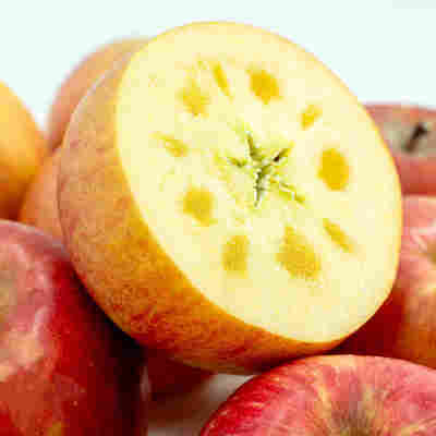 【现摘现发】山西冰糖心苹果红富士苹果水果丑苹果脆甜新鲜苹果