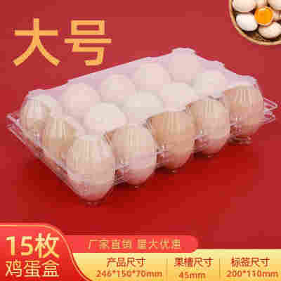 大号15枚鸡蛋托100个加厚