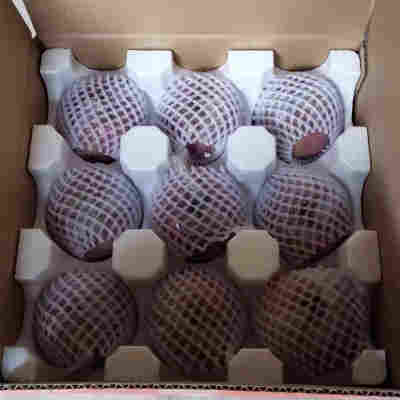 带箱9.5-10斤中果【22-24个】