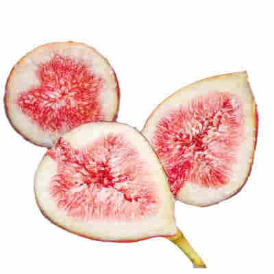 5斤无花果新鲜红皮水果现摘应季紫皮大果当季无花果整箱包邮