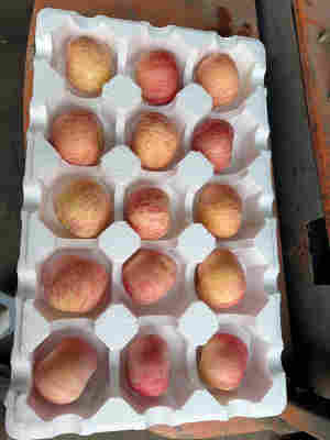 红富士13-15个4斤(带箱)