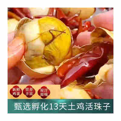 【美食推荐】活珠子香辣味13天新鲜土鸡蛋胚胎开袋即食喜蛋钢化蛋