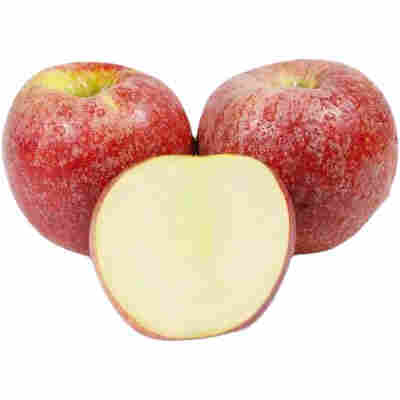 【越放越粉面】陕西红星苹果应季新鲜水果老人宝宝辅食刮泥苹果