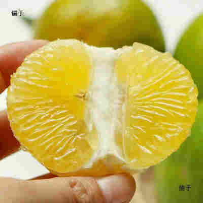 【急速发货】广西皇帝柑贡柑桔子 新鲜现摘应季水果当季橘子【5天