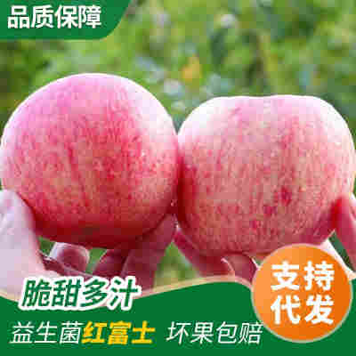 一件代发山东烟台红富士苹果自家果园4斤装新鲜水果脆甜多汁苹果