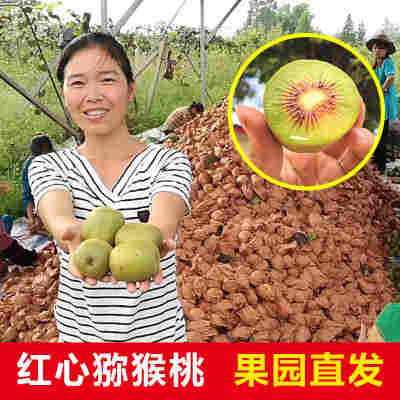 四川红心猕猴桃新鲜孕妇水果当季甜奇异果
