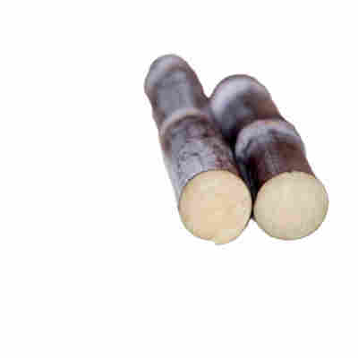 亏冲量 配大削皮刀 农家肥种植 正宗黑皮甘蔗新鲜当季水果5斤9斤