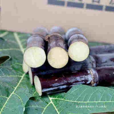 亏冲量 配大削皮刀 农家肥种植 正宗黑皮甘蔗新鲜当季水果5斤9斤