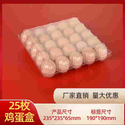 25枚中号鸡蛋托100个