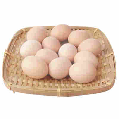 农村新鲜10鸡蛋蛋谷物农家50g鸡蛋枚柴草常温中国大陆装全年散养