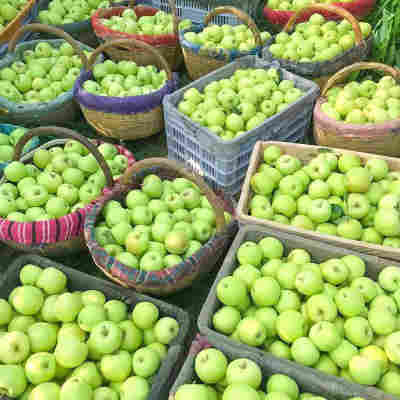 青苹果苹果现摘现发新鲜青苹果孕妇水果陕西红富士青苹果一件代发