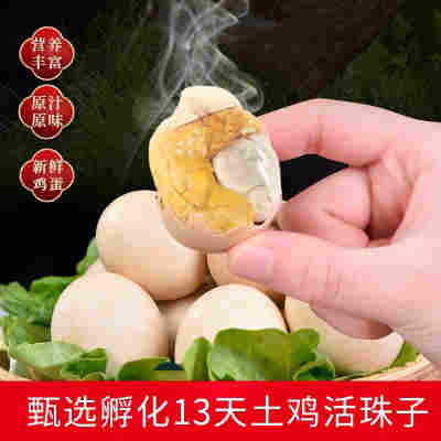 【美食推荐】活珠子香辣味13天新鲜土鸡蛋胚胎开袋即食喜蛋钢化蛋