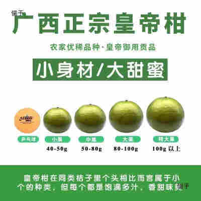 【急速发货】广西皇帝柑贡柑桔子 新鲜现摘应季水果当季橘子【5天