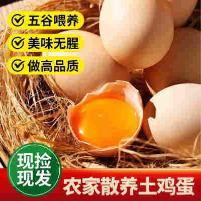 30枚2024当季草鸡蛋农家土鸡蛋新鲜包邮初生蛋香醇郁整箱谷物饲养