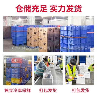 早餐店拿样广式速冻包子糯米鸡摆摊半成品小吃早餐半成品加热即食